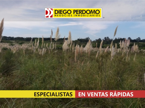 Chacra De 31.950 M² En Venta, Montevideo
