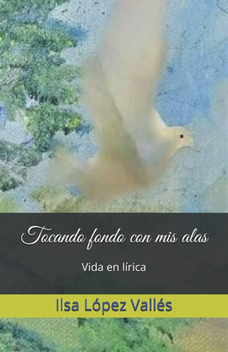 Libro: Tocando Fondo Con Mis Alas: Vida En Lírica