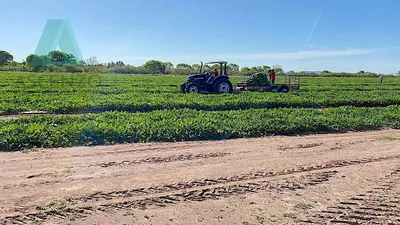 Rancho en venta
