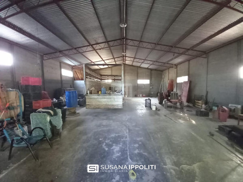 Imagen 3 de 23 de Finca Productiva De 17ha En General Alvear - Mendoza