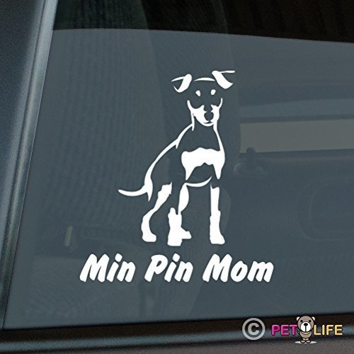 Miniatura Pinscher Mamá Pegatina Pvc Auto Ventana Min Pin