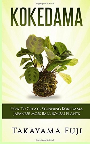 Kokedama How To Create Stunning Kokedama Japanese Moss Ball 