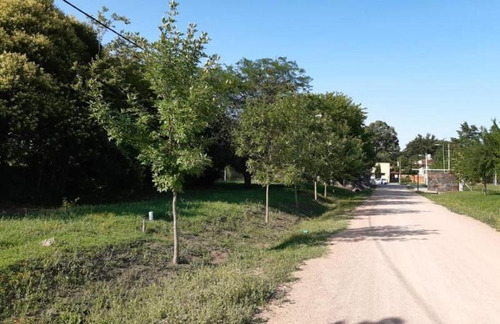Imagen 14 de 29 de Lote En Venta En Villa Elvira | 7y602 Bis | La Aurora (mza.88-l.11) Uf.5