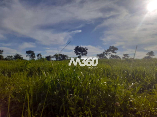 Imagem 17 de 25 de Chácara Com 6 Dormitórios À Venda, 145200 M² Por R$ 800.000,00 - Zona Rural - Urutaí/go - Ch0012