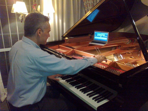 Imagen 3 de 8 de Afinación De Pianos Afinador Profesional Nivel Internacional