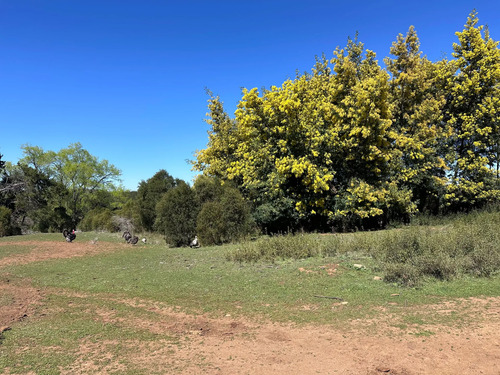 Oportunidad Parcela 5.000 Mts (93879)