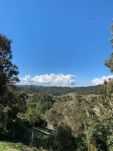 Imagem 7 de 9 de Lindo Terreno Em Rancho Queimado - Te0148