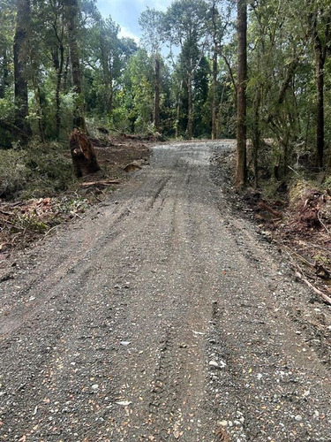 Sitios En Orillas Del Huillinco, Castro (3 Sitios)
