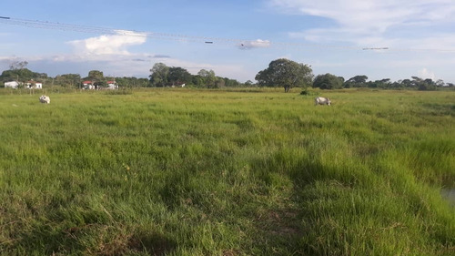 Imagen 10 de 14 de Terreno En Venta En San Fernando De Apure