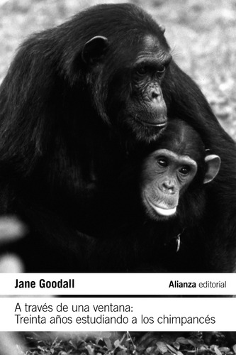 A Través De Una Ventana: Treinta Años Chimpancés -   - *