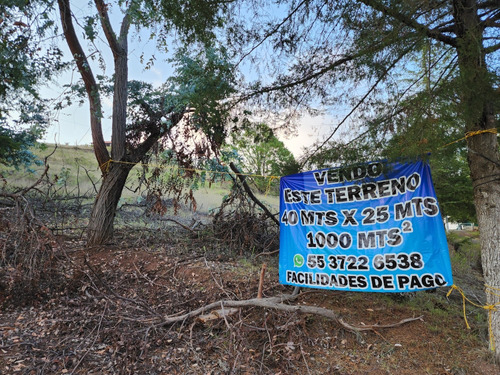 Terreno En Bosque Acaxochitlán, Hidalgo