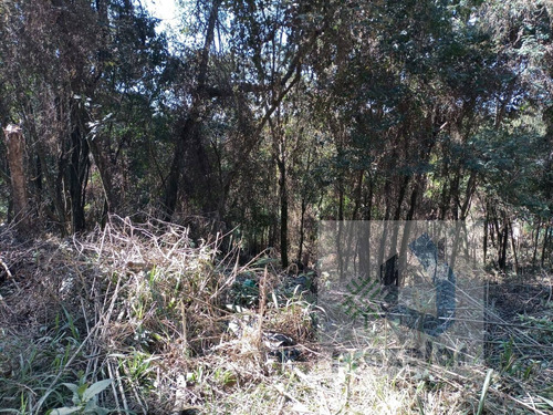 Imagem 8 de 14 de *** Lindo Terreno ***
