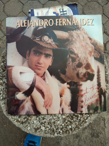 Alejandro Fernández Acetato Disco Lp Envío Gratis Excelente (Usado)