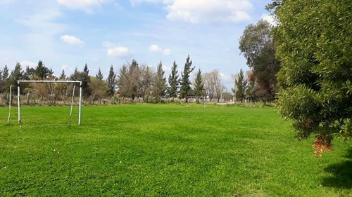 Imagen 2 de 12 de Campo 4 Hectareas Alquiler Cañuelas