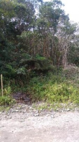 Imagem 3 de 4 de Terreno No Litoral, Aceita Entrada De 10 Mil + Parcelas.