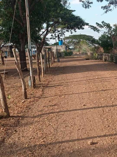 Imagen 2 de 14 de Finca 303 Hectáreas En Guárico, Vía Santa Rita.