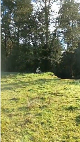 Imagen 21 de 23 de Agrícola En Venta En Puerto Montt