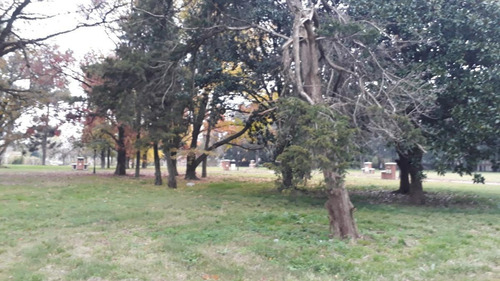 Imagen 10 de 23 de Terreno - Ingeniero Adolfo Sourdeaux