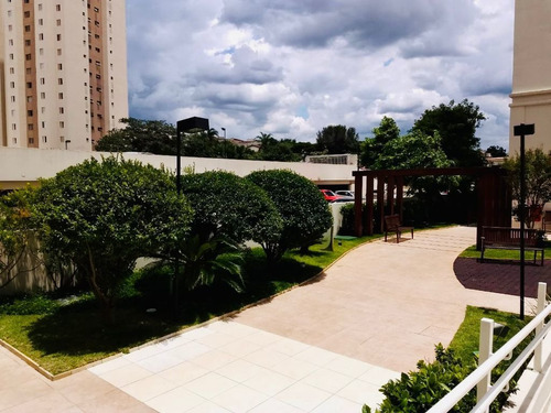 Imagem 1 de 14 de Belissimo Apartamento No Bairro V. Alzira, S.andré - Sp