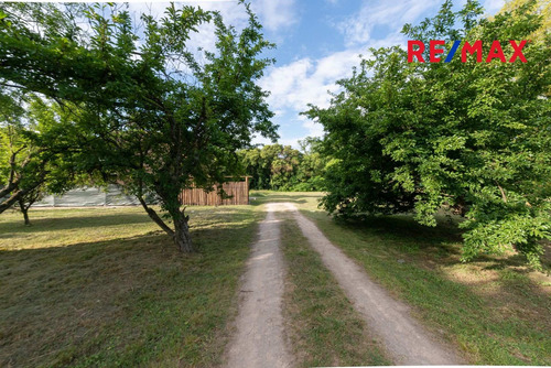 Imagen 11 de 30 de Lote 600 M2 Venta Moreno Bo. Semicerrado