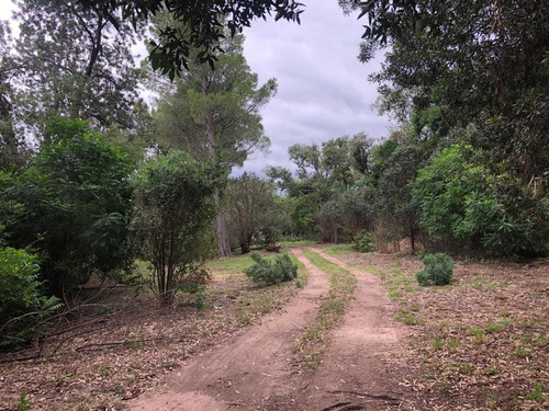 Terreno 4000 M2 En Venta En Villa Elena - Cortaderas