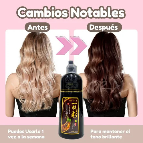 Shampoo Tinte Instantáneo Color Negro 15min Cubre Canas Jengibre Natural 500ml