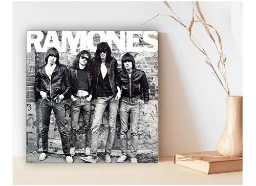 Cuadros Carteles Discos Ramones Discografia Moderna - 20x20 