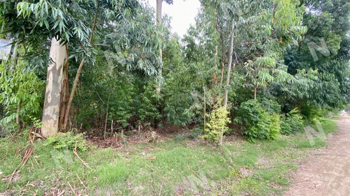 Imagen 2 de 4 de Lote De 300 M2 A 400 Mts De La Ruta 10.- - Manantiales Balneario Buenos Aires