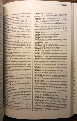 Diccionario De La Lengua Española Real Acad Esp 22ed Espasa (Usado)