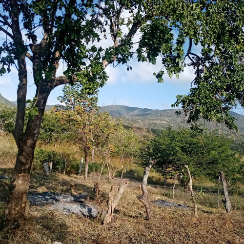 Terreno En Venta En El Sabino Al Norte Poniente De Berriozábal