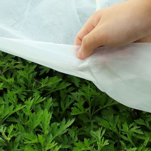 Tela Manta Térmica Antihelada Plantas Invierno 1,40 X 50 Mts