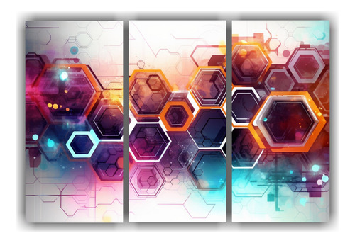 120x80cm Cuadros Hexágonos Tecnológicos Coloridos Flores