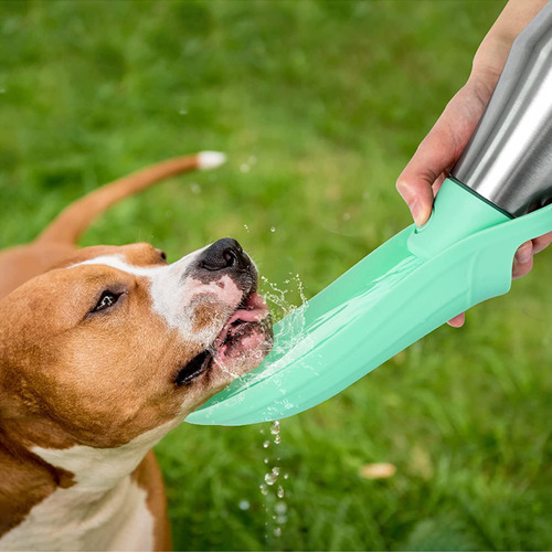 Botella De Agua Portátil Para Perros De Viaje De 27 Oz, Come Color Verde Claro