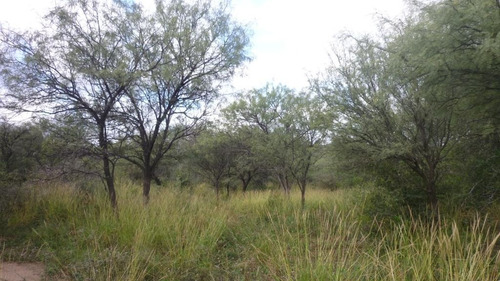 Imagen 9 de 10 de Vendo Lote De 1 Ha En Bº El Rincón, San Marcos Sierras Rebajado A U$s 23.000 Oferta De Oportunidad!