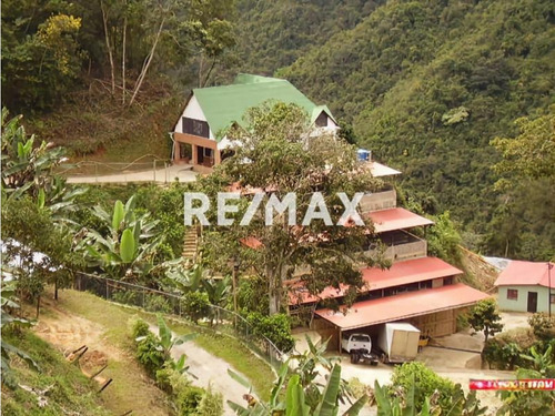 En Venta Finca Productiva, Con Casa, Galpones Y Cultivo De Café