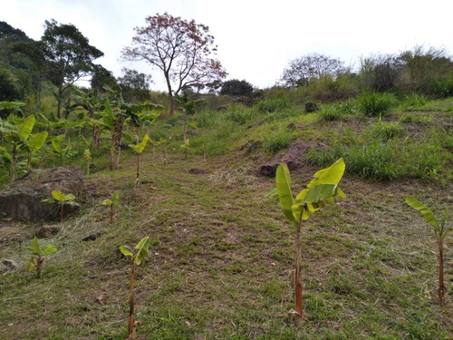 Imagen 3 de 11 de Km// Granja Con Galpón En Peribeca Sector El Ceibal