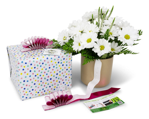 Give+grow - Lazo De Regalo (2 En 1) Que Crece Flores (semil.