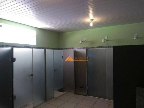 Imagem 11 de 18 de Chácara À Venda, 5000 M² Por R$ 1.800.000,00 - Recreio Internacional - Ribeirão Preto/sp - Ch0084
