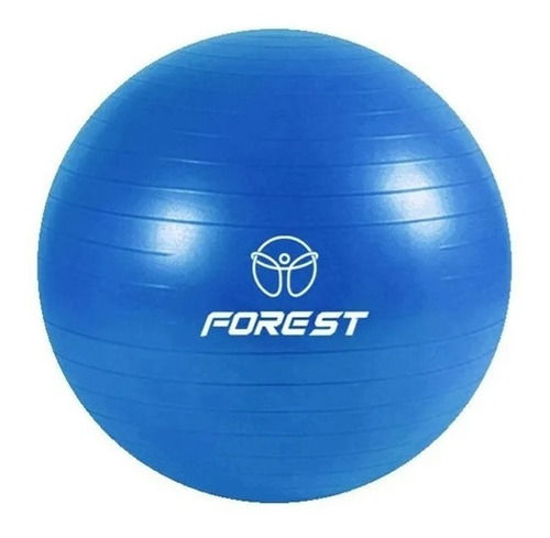 Pelota Yoga Ball Esferodinamia 55cm Gym Pilates Fit