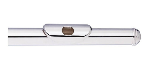 Flauta Traversa Do C Stagg Wsfl111 16 Llaves + Estuche