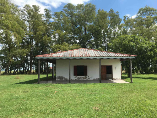 Imagen 13 de 13 de Campo De 170 Hectáreas