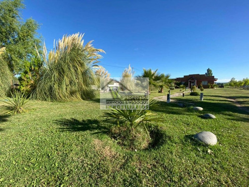 Oportunidad Salon De Fiesta +2 Cabañas + Pileta Con 5200 M2 En Rama Caida. San Rafael. Mendoza