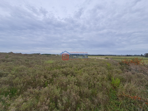 Vende Chacra De 5,6 Hectáreas - 50 Km. De Montevideo