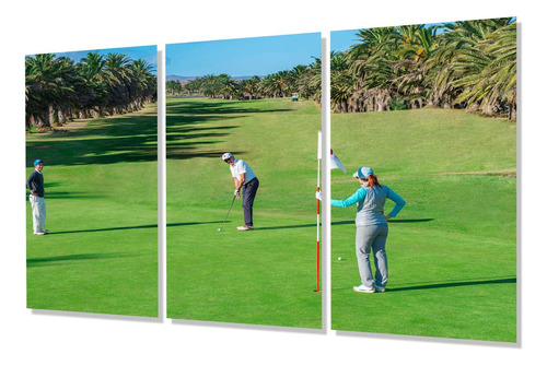 Cuadro Trip 80x120 P4 Campo De Golf Deporte Aire Libre Verde