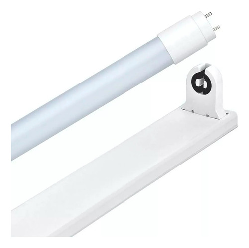 Tubo Led 60cm Vidrio + Porta Tubo Led Macroled