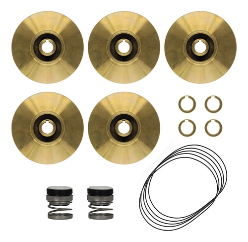 Kit Thebe Px-15/5 F De 10,0 Cv - Bronze Buna