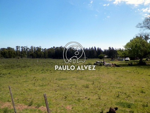Imagen 7 de 10 de Chacras-venta-las-flores-ch063