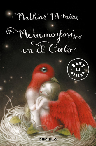 Libro Metamorfosis En El Cielo