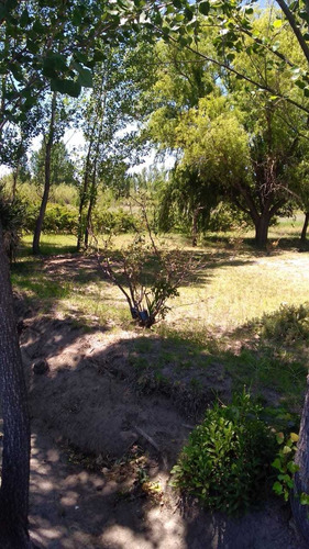 Imagen 12 de 13 de Finca 2ha+casa Excelente Ubicación, A 10min De Gral Alvear