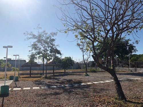 Terreno Para Alugar Na Cidade De Eusebio-ce - L12448